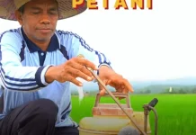 Maret 2026, NTP Sultra Mengalami Penurunan