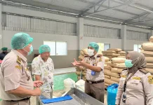 Barantin Dorong Ekspor Komoditas Unggulan Konawe Selatan
