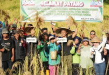 Komitmen Pemkab Konut Dukung Katahanan Pangan