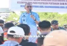 Pemkab Kolaka Perkuat Dukungan Program Sektor Pertanian