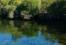 Keindahan Danau Sombano yang Masih Alami