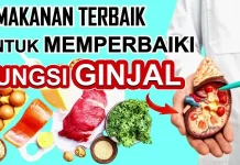 Jenis Makanan Mengatasi Fungsi Ginjal