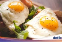 Maksimal Makan Telur Sehari? Berikut Panduan Konsumsi Sehatmu