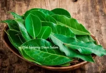 Waspadai Efek Samping Daun Salam Berlimpah