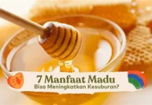 Manfaat Madu bagi Kesehatan