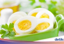 Kebanyakan Makan Telur, Dampak dan Batas Aman Mengonsumsinya