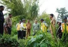Peningkatan Infrastruktur dan Ketahanan Pangan Fokus Reses Anggota DPR RI