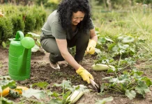 Menanam Sayur di Rumah, Solusi Sederhana Ketahanan Pangan