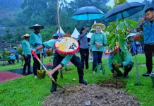 Delegasi UCLG ASPAC 2026 Tanam Pohon di Kebun Raya Kendari