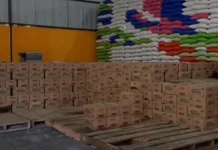 Bulog Pastikan Minyakita Aman dan Murah