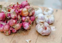 Cara Menyimpan Bawang   agar Tidak  Cepat Busuk