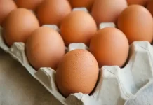 Makan Telur Mentah, Benarkah Sehat atau Malah Berbahaya?