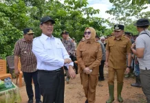 Mentan Amran Sulaiman Tinjau Sawah Terdampak Banjir di Amohalo