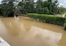 Walikota Kendari: Pembangunan Tanggul di Kawasan Kaliwanggu Segera dilakukan