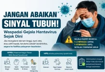 Demam Tinggi Bisa Menjadi Gejala Awal Hantavirus
