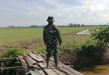 Pasca Banjir Konawe, Babinsa Monitor Pemulihan Akses di Watarema