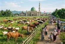 Muhammadiyah Tetapkan Idul Adha 2026 Jatuh 27 Mei