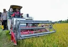 Wali Kota Kendari Pastikan Pemulihan Lahan Pertanian Berjalan
