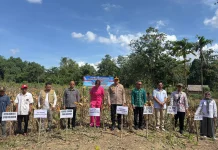 Pemkab Koltim Hadiri Panen Raya Jagung Serentak Kuartal II di Tirawuta