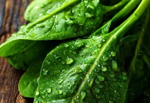 Bayam, Sayuran Hijau Kaya Nutrisi dengan Segudang Manfaat bagi Kesehatan