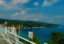 Keindahan Waburi Park yang Wajib Kamu Kunjungi