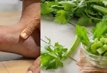 Lima Pilihan Obat Asam Urat Alami yang tanpa Efek Samping