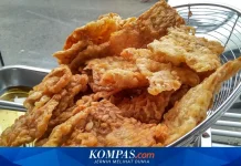 Makanan Karsinogenik Pemicu Kanker Tubuh