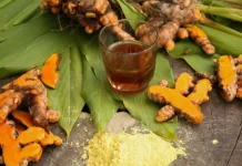 Hari Jamu Nasional Perkuat Warisan Budaya Kesehatan Nusantara