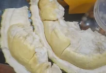Hangatkan Tubuh saat Hujan, Durian Jadi Favorit Warga Kendari di Malam Hari