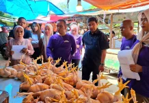 TPID Kendari Intensifkan Pengawasan Pangan jelang Idul Adha