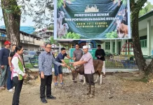 Kodim 1417/Kendari Salurkan Daging Kurban Iduladha 1447 H