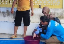 Daging Sapi Kurban di Kendari Jalani Pemeriksaan sebelum Dibagikan ke Warga