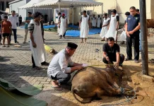 Bid Dokkes Polda Sultra Salurkan 187 Kantong Daging Kurban