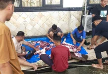 Kemenkum Sultra Sembelih dan Salurkan Hewan Kurban untuk Masyarakat