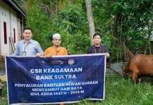 Bank Sultra Salurkan CSR 23 Ekor Sapi Kurban ke Seluruh Wilayah Sultra