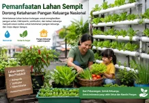 Kiprah Indonesia: Pemanfaatan Lahan Sempit Dorong Ketahanan Pangan Keluarga