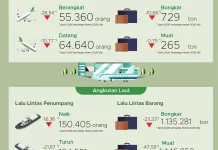 Penumpang Angkutan Udara Domestik di Sultra Turun 26,54 persen