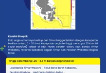 BMKG Stasiun Maritim kendari Rilis Informasi Tinggi Gelombang di Sultra