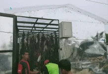 Dosen USN Kolaka Ciptakan Mesin Pengering Rumput Laut Tenaga Surya