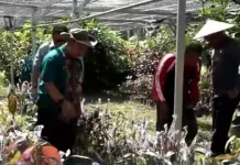 Akses Jalan Usaha Tani Tingkatkan Produktivitas Petani di Sultra