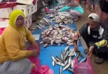 Perempuan Pesisir Sultra Tulang Punggung Ekonomi Maritim