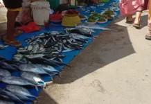 Angin Kencang Picu Lonjakan Harga Ikan di Kendari