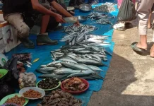 Cuaca Buruk Batasi Aktivitas Melaut Nelayan Kendari
