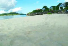 Pantai Tanjung Mutiara, Pesona Tersembunyi di Pulau Talaga Buton