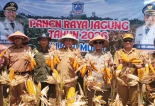 Ekonomi Kabupaten Muna Tumbuh, Sektor Unggulan Jadi Motor Penggerak