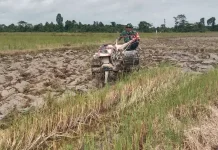 Babinsa Koramil Landono Dorong Percepatan Masa Tanam Sawah di Kecamatan Mowila