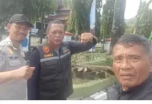 Satgas Penataan Kota Lakukan Pemeliharaan Pohon di Kawasan Jalan Saranani