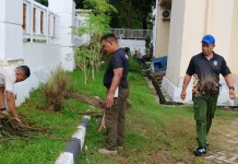 Jumat Bersih, Satpol PP Kota Kendari Rapikan Area Kantor dan Lingkungan Sekitar