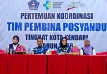 Perkuat Posyandu Jadi Ujung Tombak Cegah Stunting Kota Kendari
