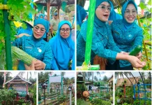 Kebun PKK Poleang tengah Dorong Ketahanan Pangan di Bombana